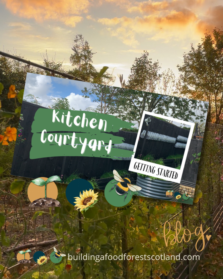 Building a Kitchen Courtyard Herb Garden in a Small Space in Scotland (Part 1-2019)
