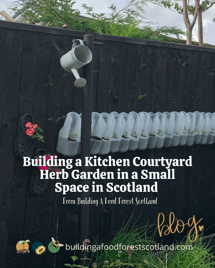 Building a Kitchen Courtyard Herb Garden in a Small Space in Scotland (Part 1-2019)
