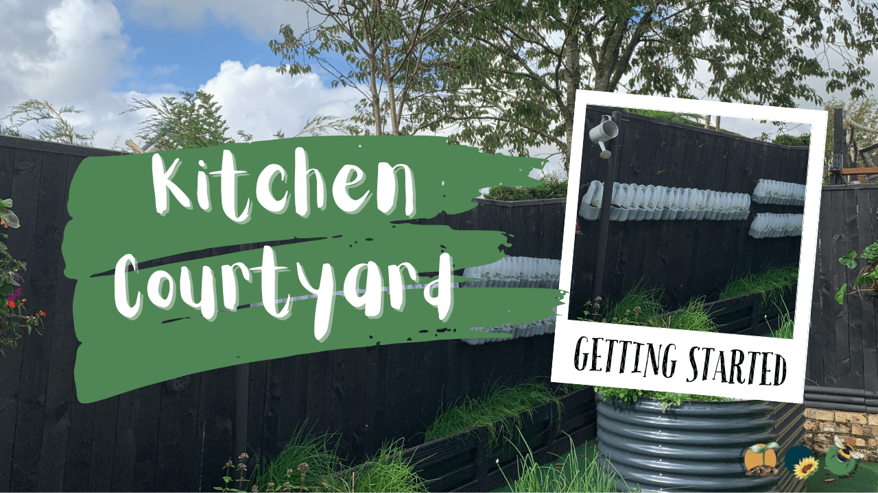 Building a Kitchen Courtyard Herb Garden in a Small Space in Scotland