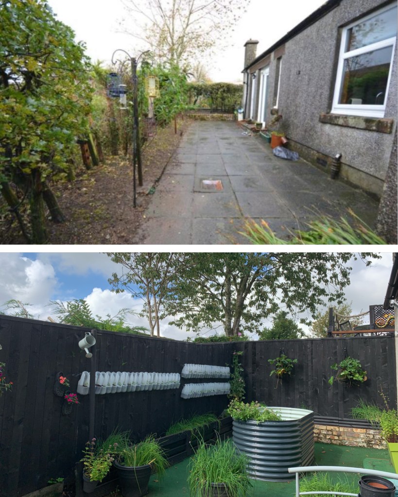 How We Grow Food in a Vertical Garden Using Milk Cartons On A Fence - 2022 UPDATE