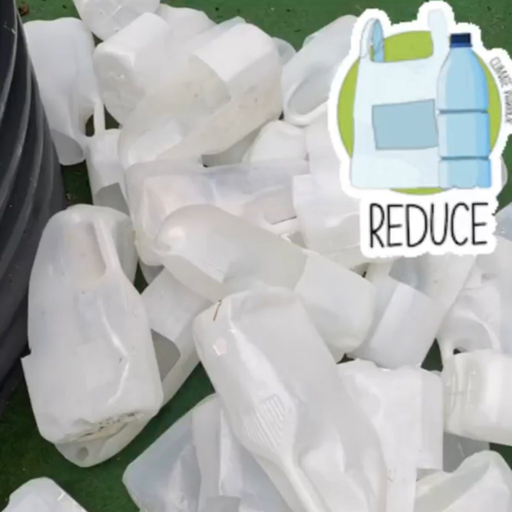 How We Grow Food in a Vertical Garden Using Milk Cartons On A Fence - 2022 UPDATE