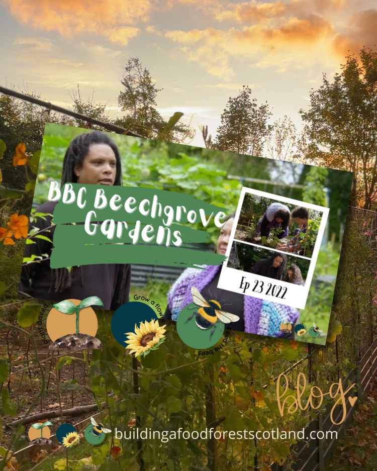 TV: The Beechgrove Garden 2022 Episode 23 - Katrina & Peter Gelderbloem