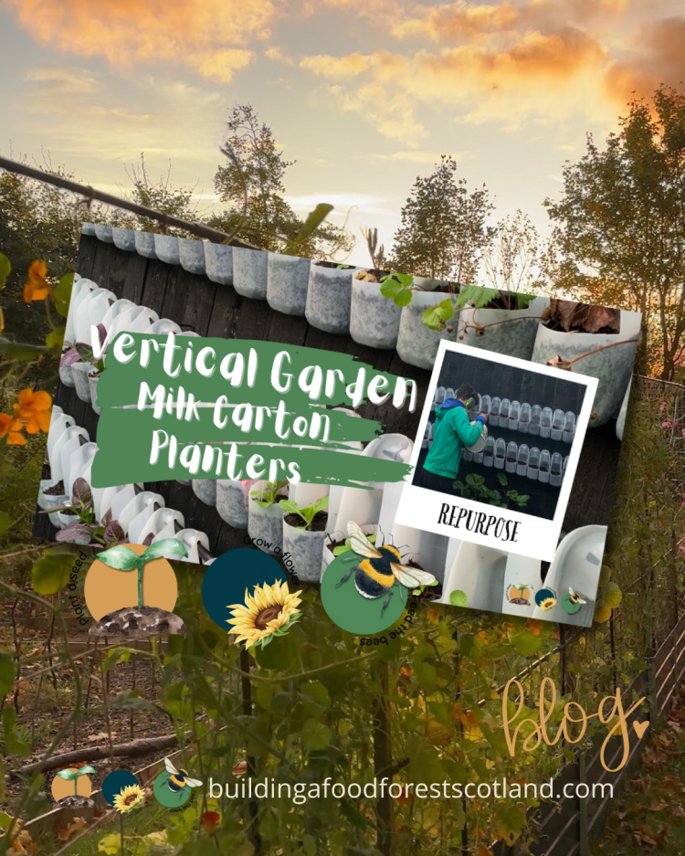 How We Grow Food in a Vertical Garden Using Milk Cartons On A Fence - 2022 UPDATE