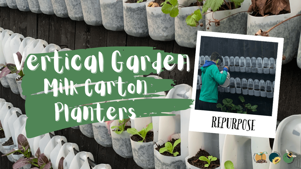 How We Grow Food in a Vertical Garden Using Milk Cartons On A Fence - 2022 UPDATE