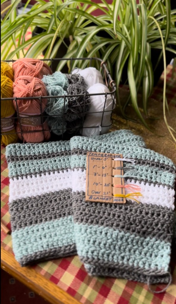 Temperature Blanket Crocheted