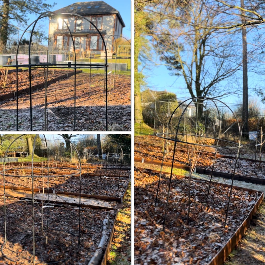 Food Forest Update: New Fruit Trees Planted for 2023