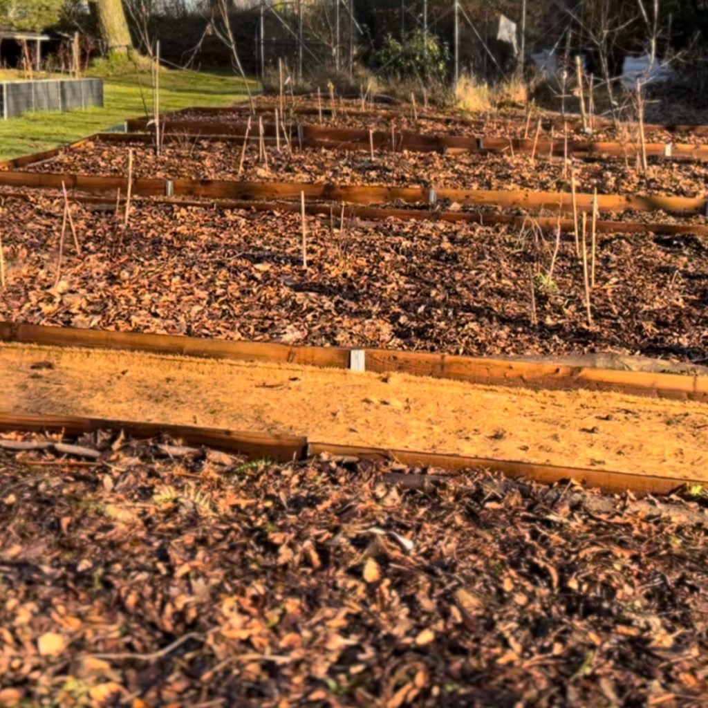 Food Forest Update: New Fruit Trees Planted for 2023