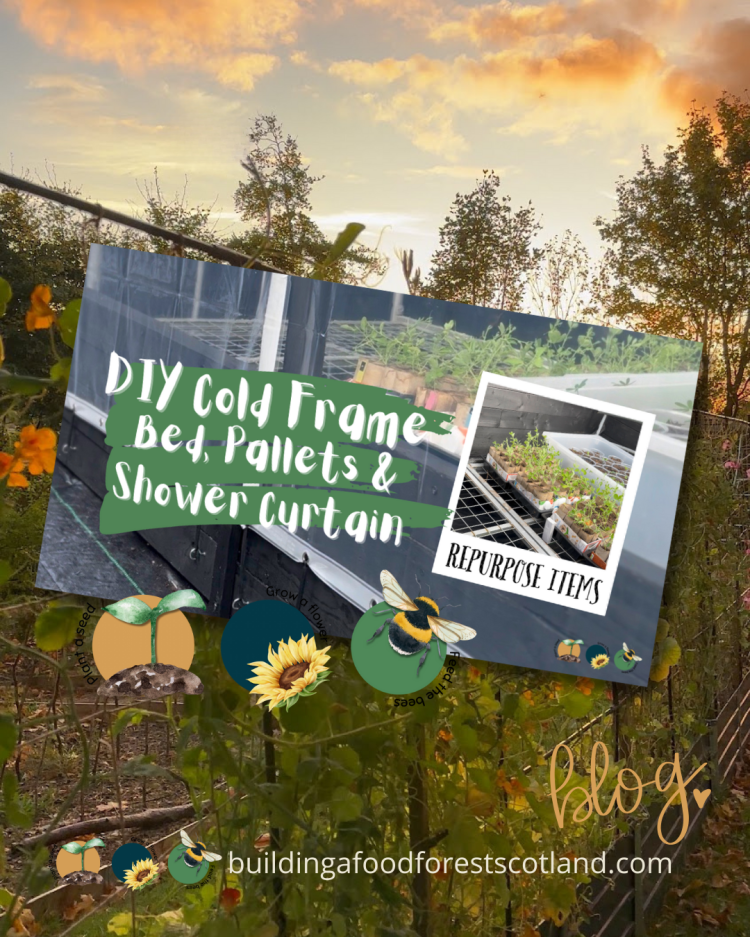 DIY Cold Frame From A Bed, Pallets & Shower Curtains