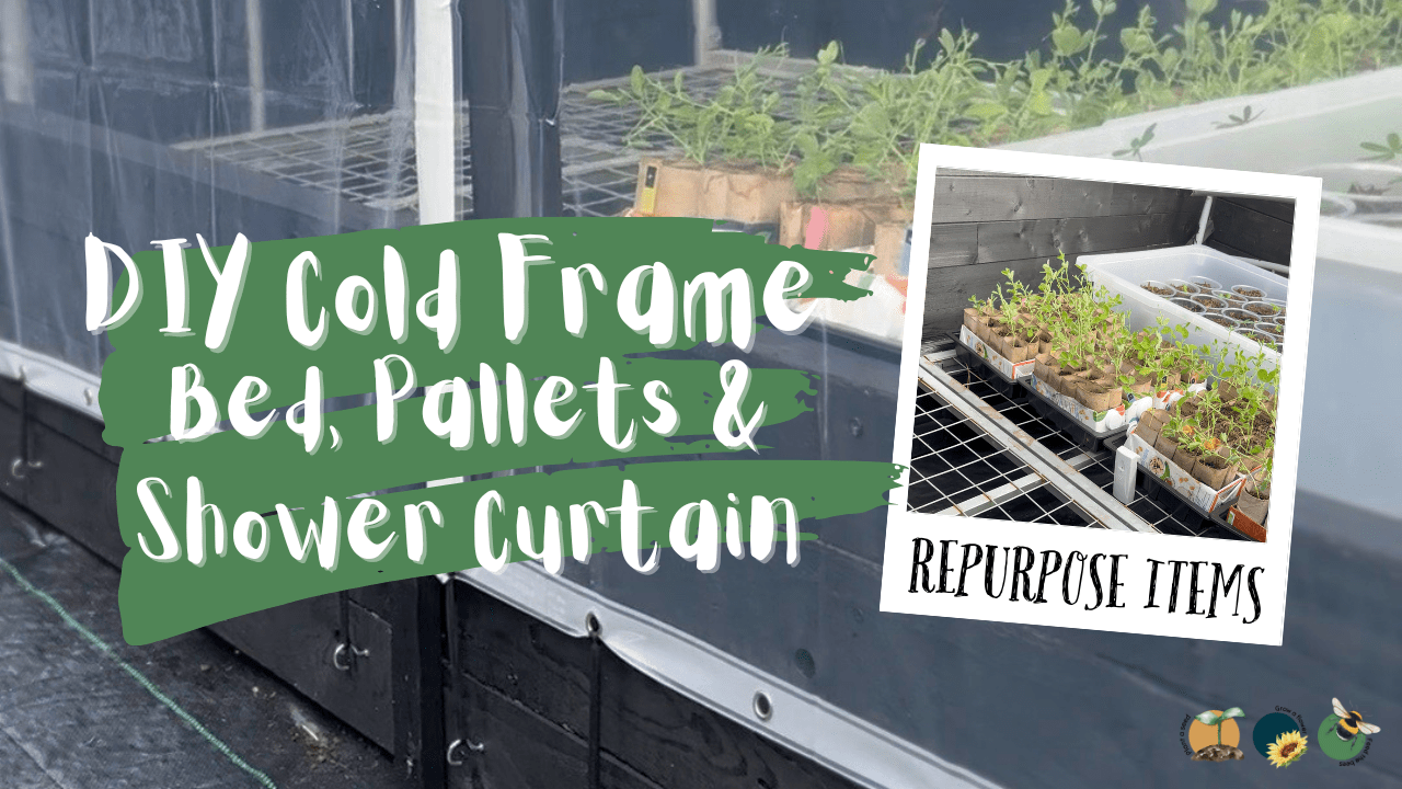 DIY Cold Frame From A Bed, Pallets & Shower Curtains