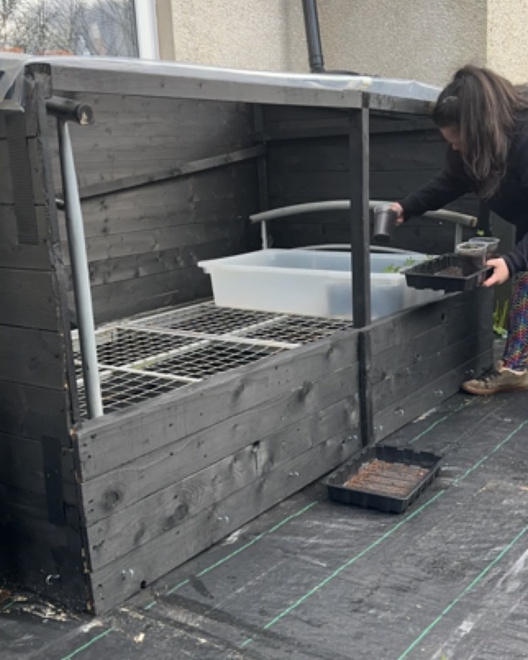 DIY Cold Frame From A Bed, Pallets & Shower Curtains