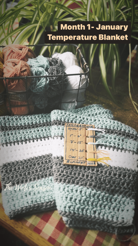 Temperature Blanket 2023 