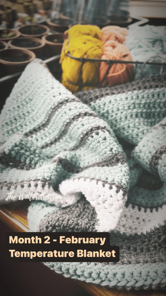 Temperature Blanket 2023 