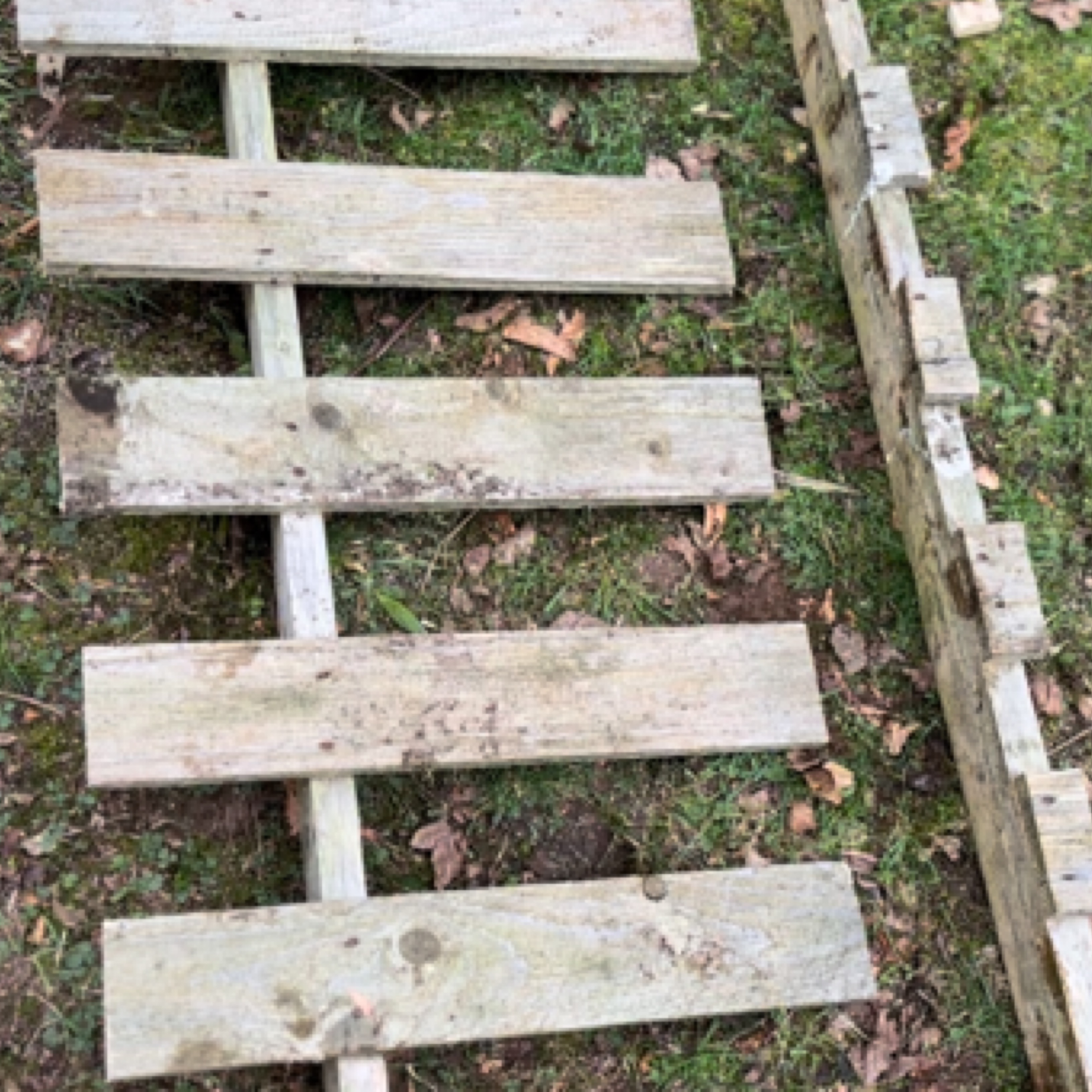 DIY: Building Raspberry Support Structures From Pallets – Building a ...