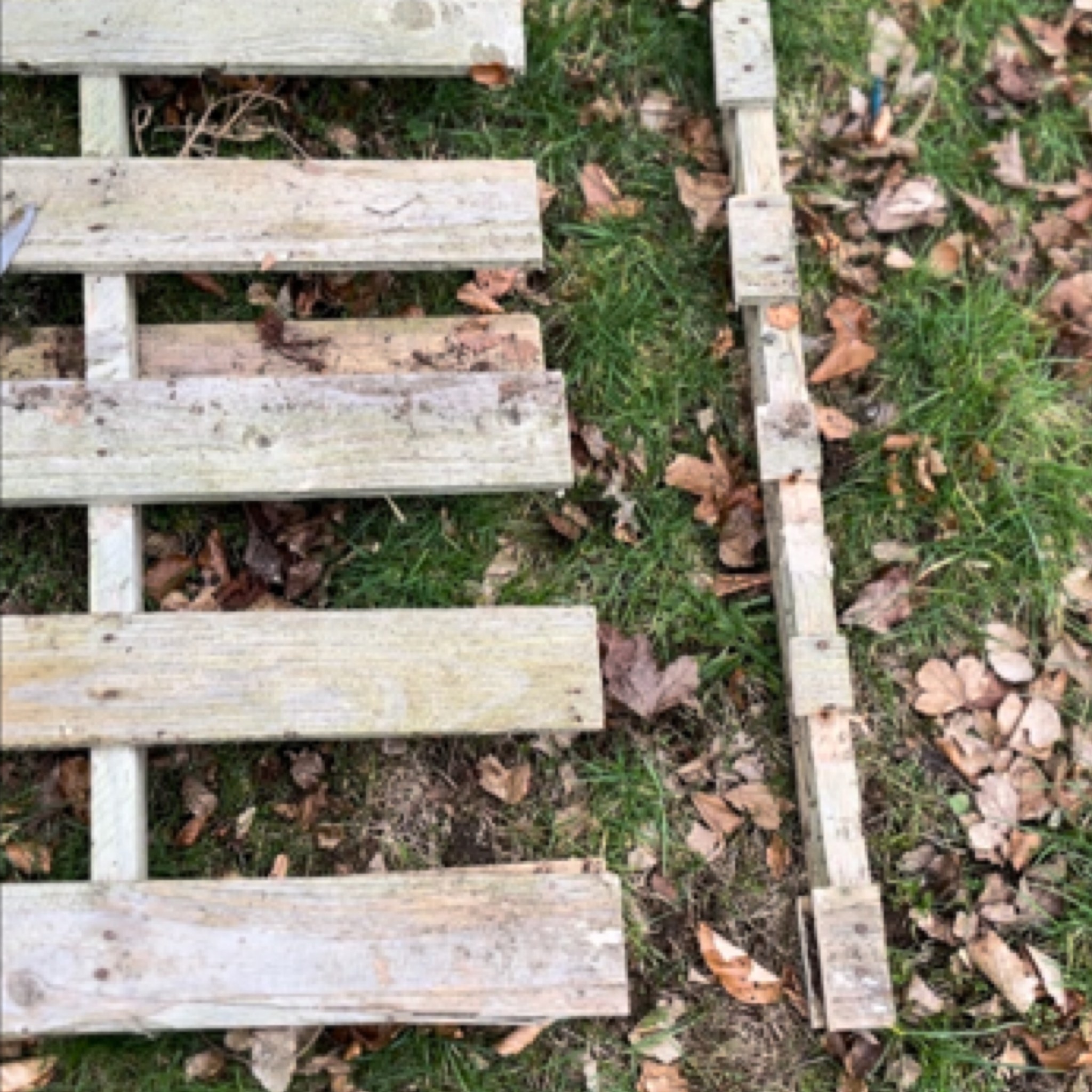 DIY: Building Raspberry Support Structures From Pallets – Building a ...