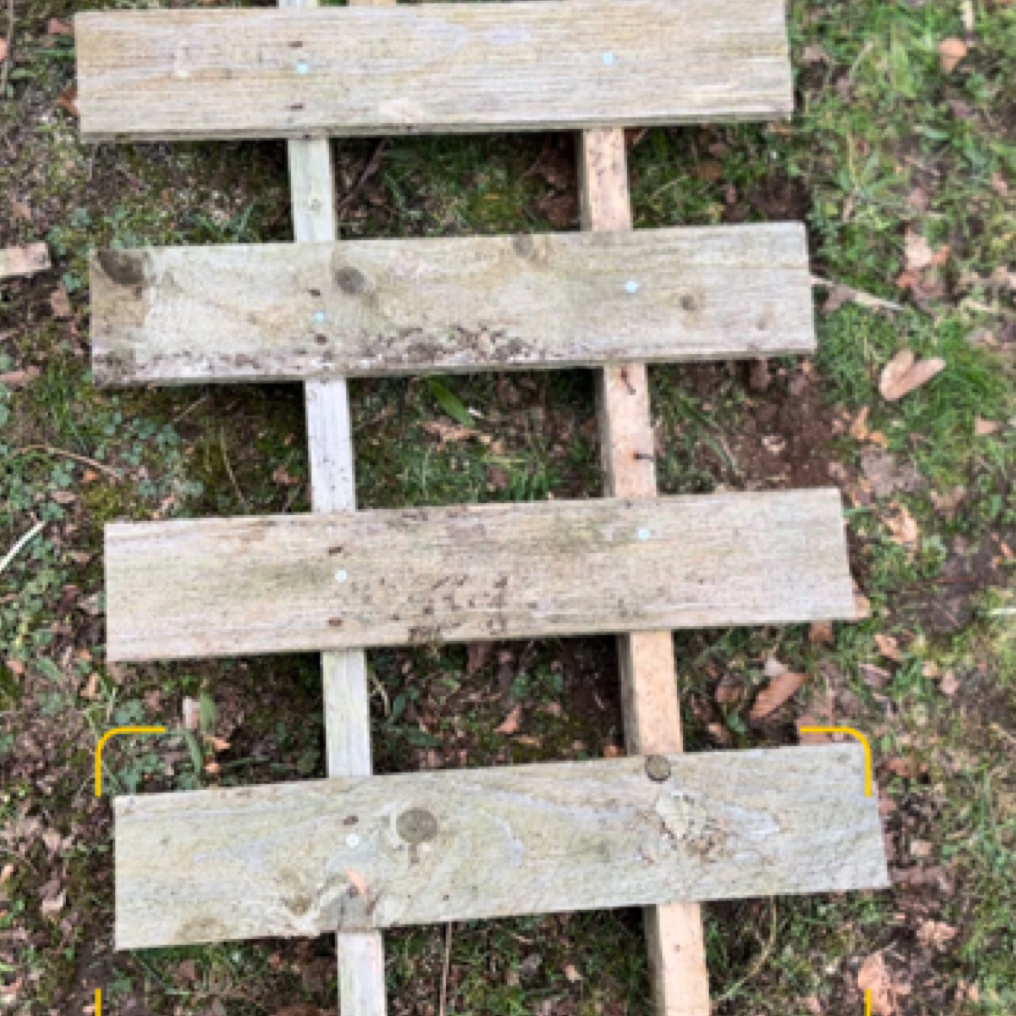 Building A Raspberry Cane Support DIY: Building Raspberry Support Structures From Pallets – Building a ...
