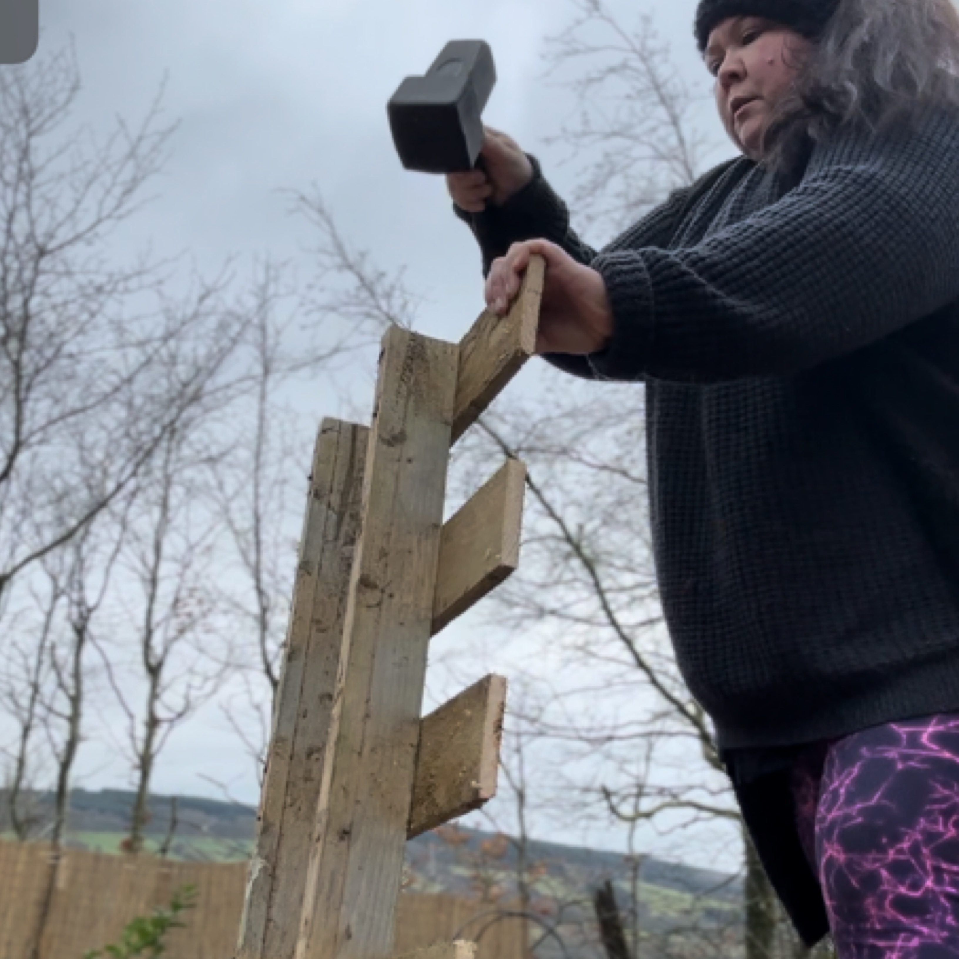 Building A Raspberry Cane Support DIY: Building Raspberry Support Structures From Pallets – Building a ...