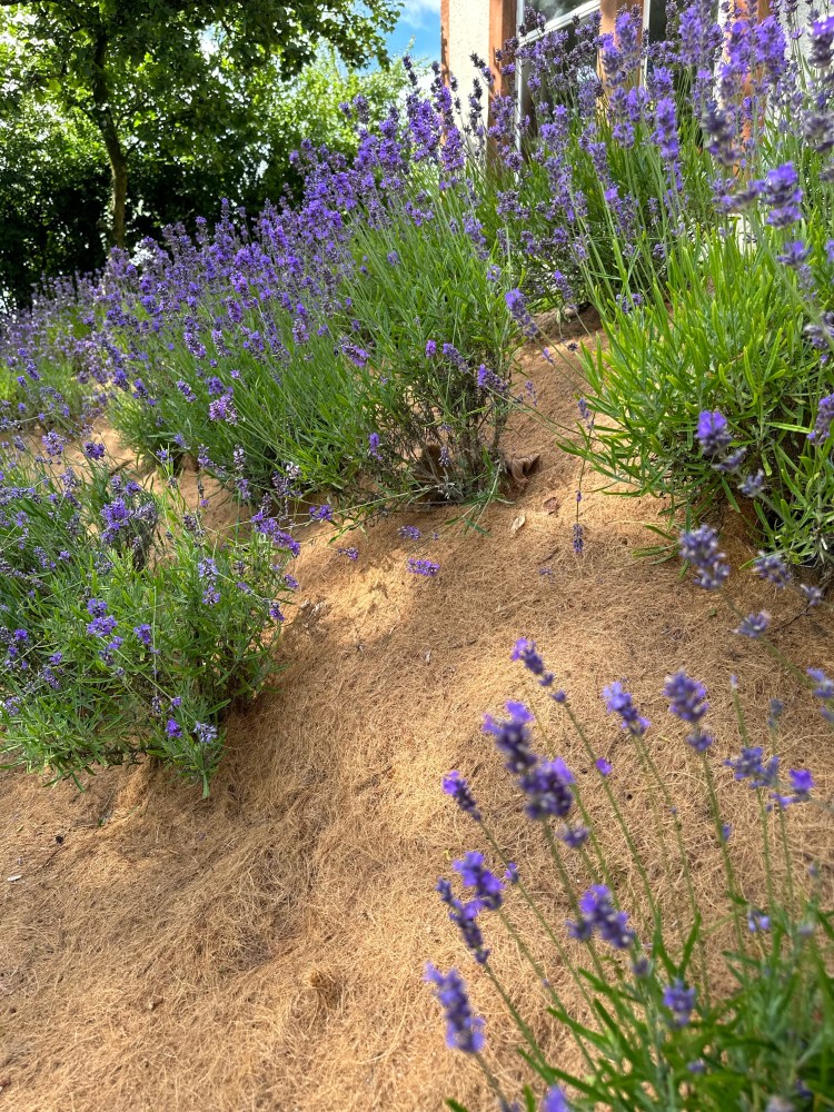How We Use Coir Erosion Sheeting for Sustainable Landscaping