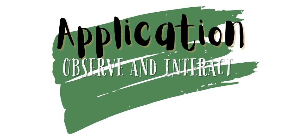 Permaculture Principle No. 1: "Observe and Interact"