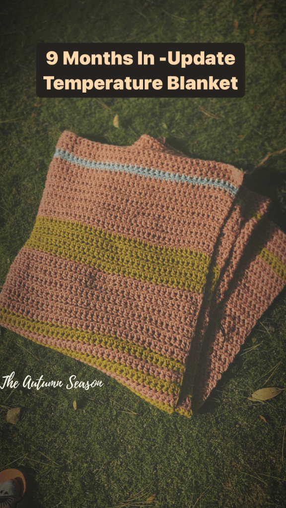 Tracking Climate with a Temperature Blanket (COMPLETED 2023)