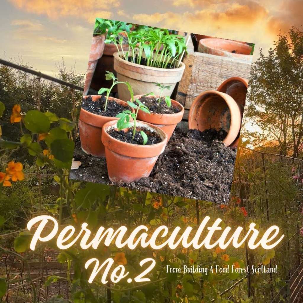 Permaculture Principle No. 2: "Catch and Store Energy"