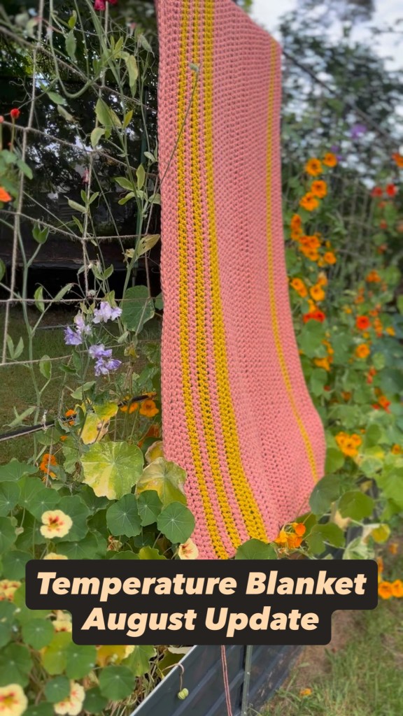 Stitching the Seasons: Tracking Climate with a Temperature Blanket