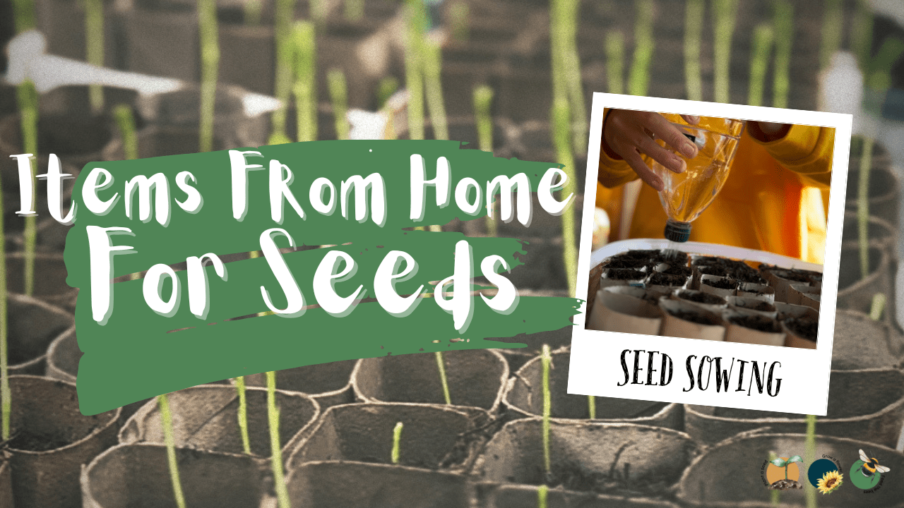 Creative Household Container Usage for the Growing Season – Seed Sowing
