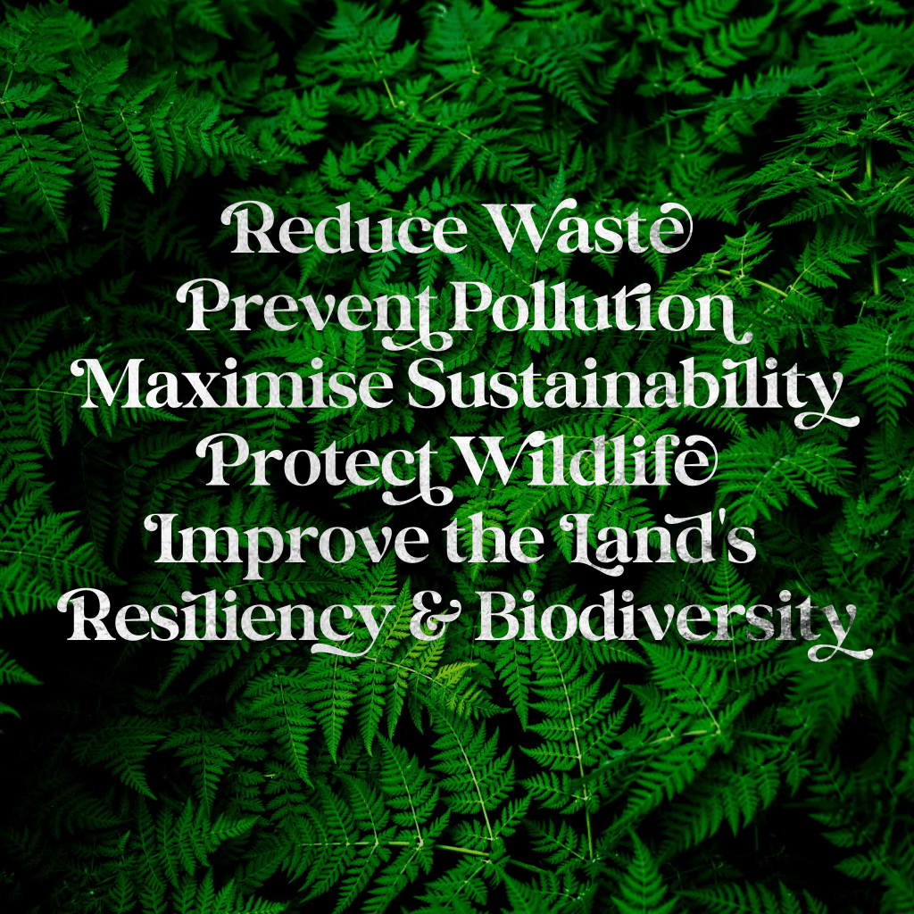 Permaculture Principle No. 1: "Observe and Interact"