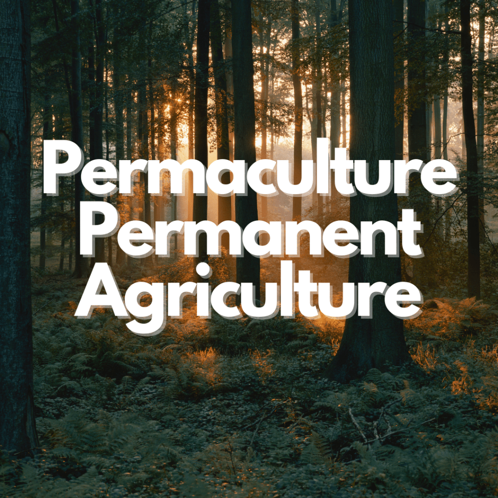 Permaculture Principle No. 2: "Catch and Store Energy"