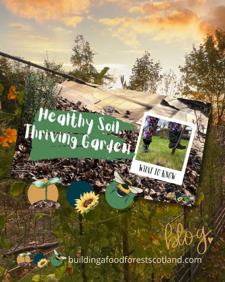 Healthy Soil, Thriving Garden: Checking Soil Condition Tips