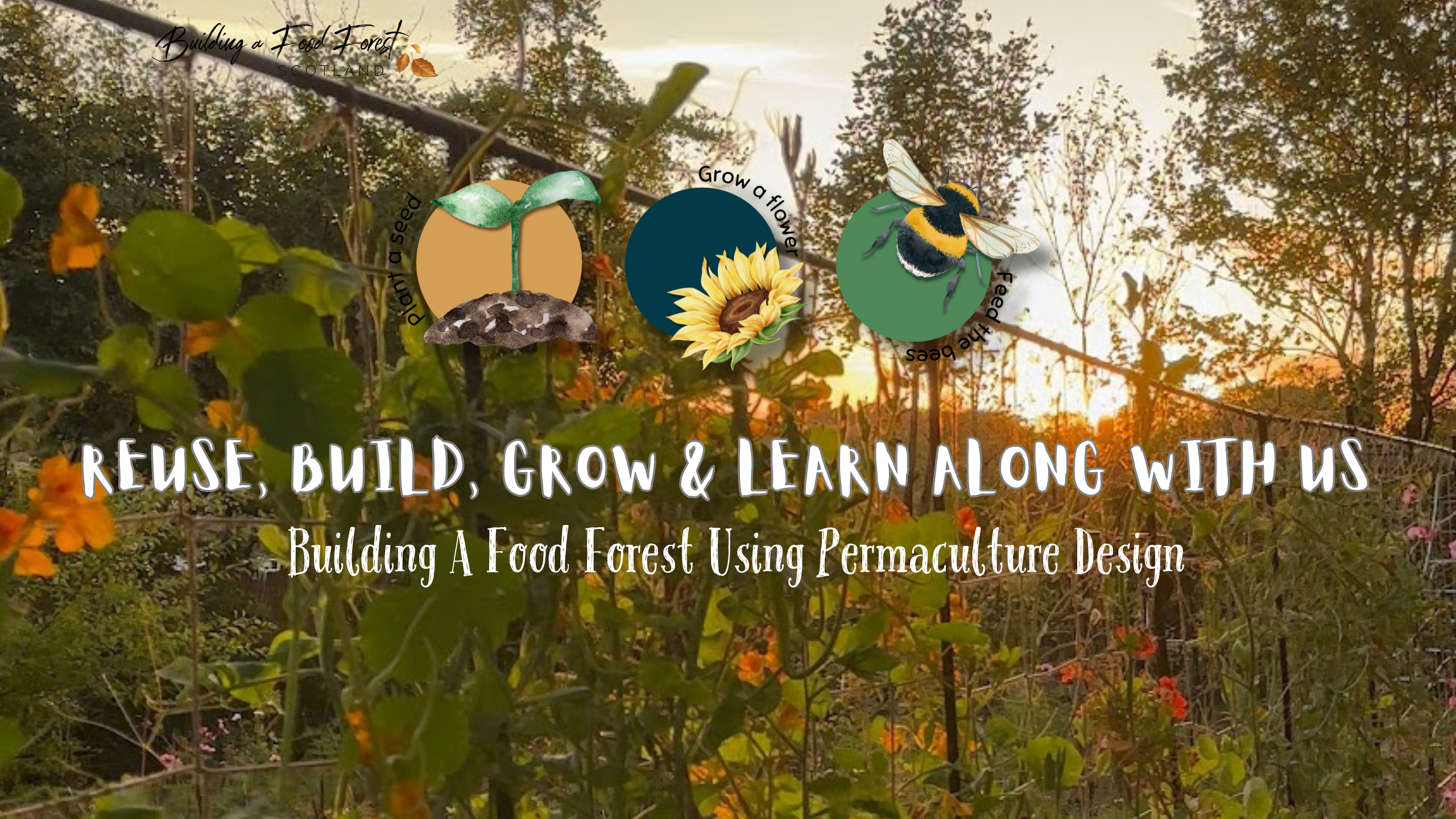 Let’s Work Together: Collaboration Opportunities with Us