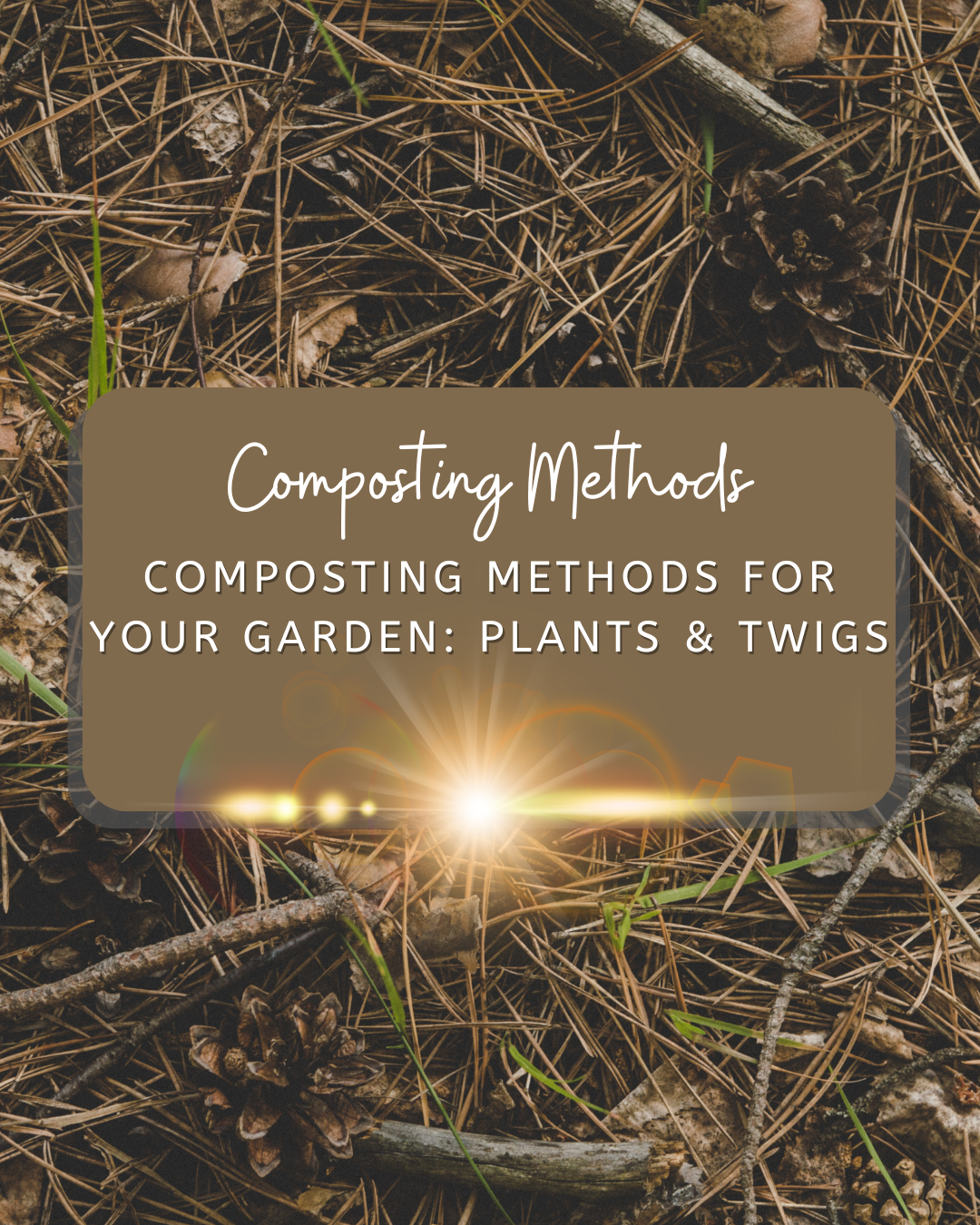 Simple and Effective Composting Methods & Solutions – Building a Food ...
