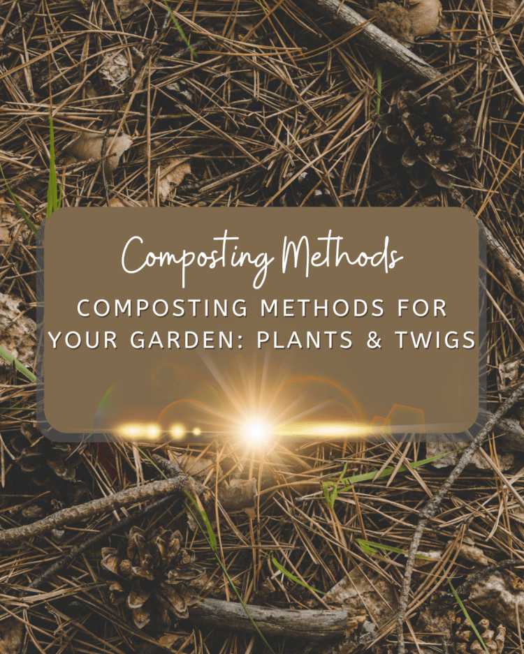 Simple and Effective Composting Methods & Solutions