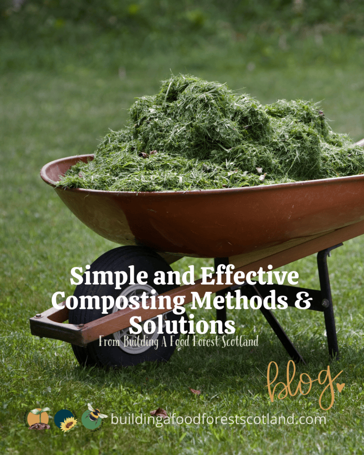 Simple and Effective Composting Methods & Solutions – Building a Food ...