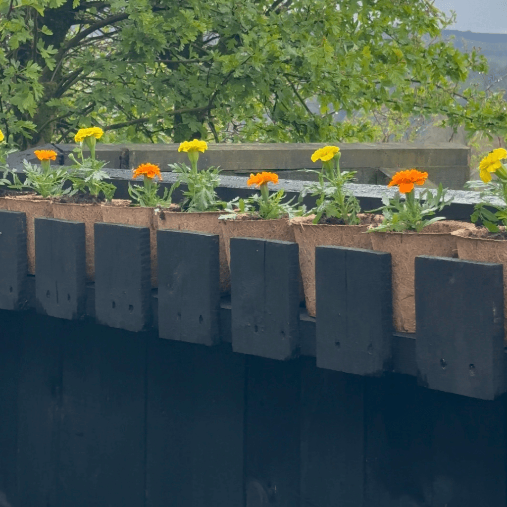 DIY: Pallet Plant Shelf On The Fence For Vertical Gardening