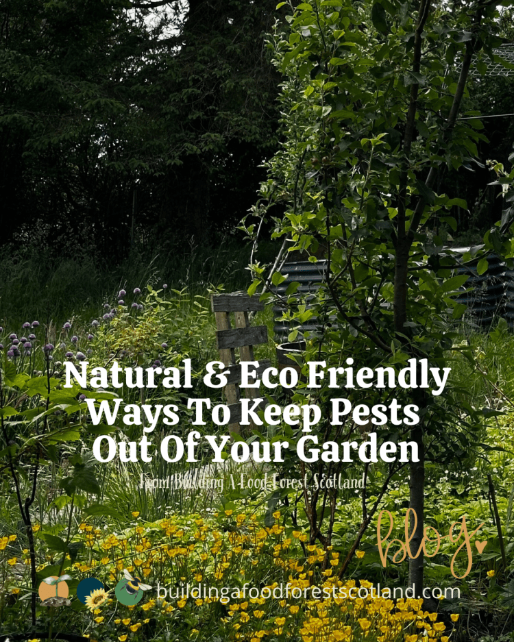 Natural & Friendly Ways To Keep Pests Out Of Your Garden