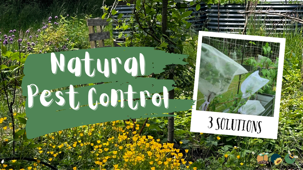 Natural & Eco Friendly Ways To Keep Pests Out Of Your Garden