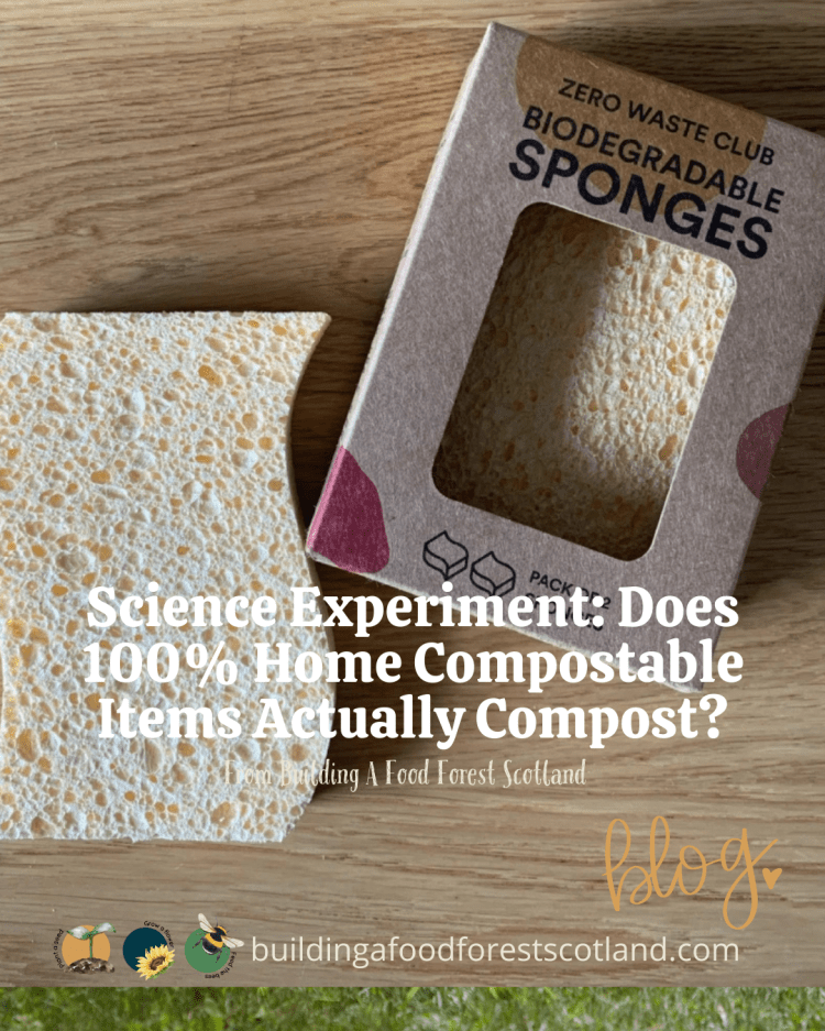 Science Experiment: Does 100% Home Compostable Items Actually Compost?