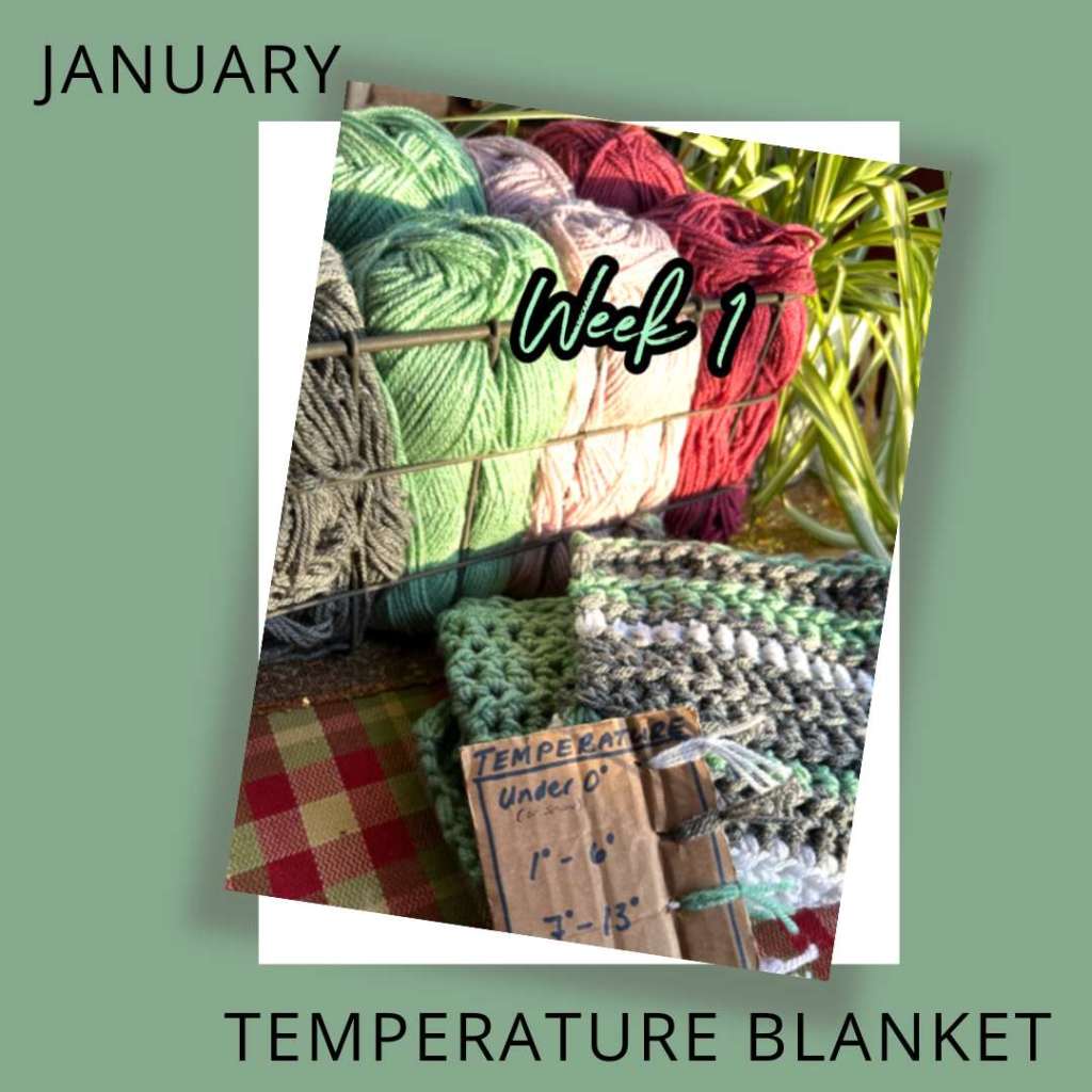Temperature Blanket (6 Months In 2024)