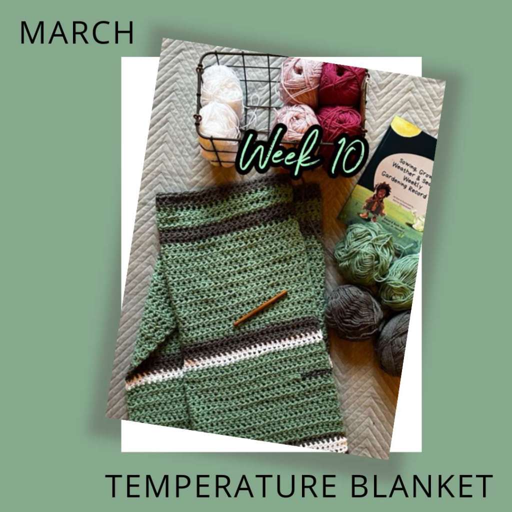 Temperature Blanket (6 Months In 2024)