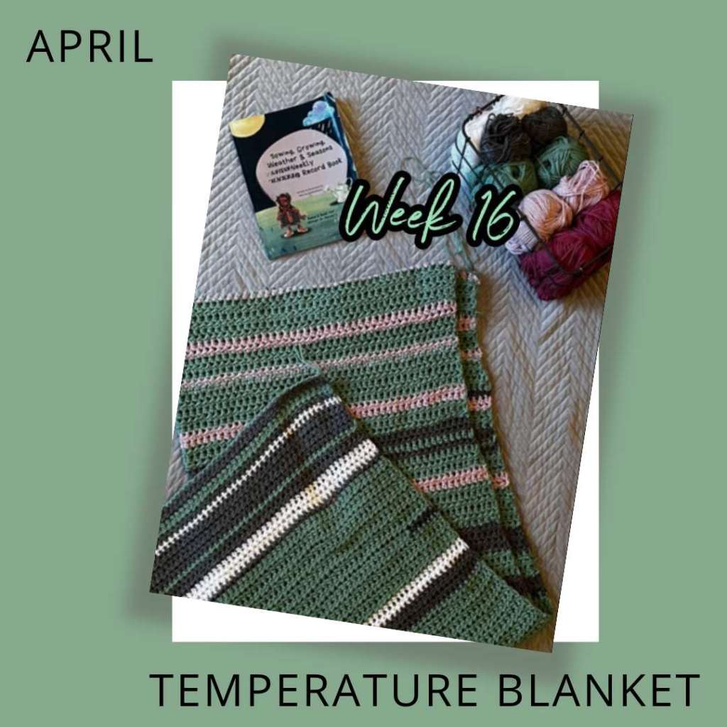 Temperature Blanket (6 Months In 2024)