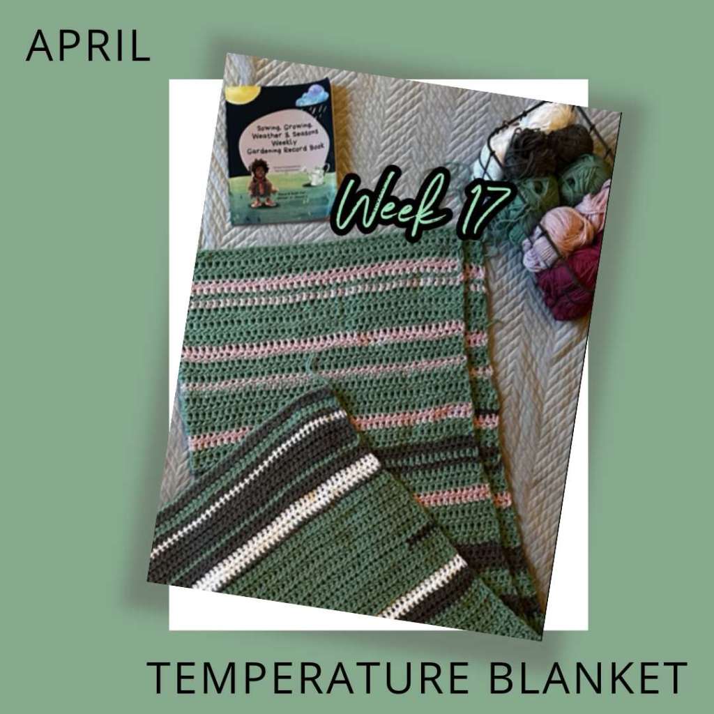 Temperature Blanket (6 Months In 2024)