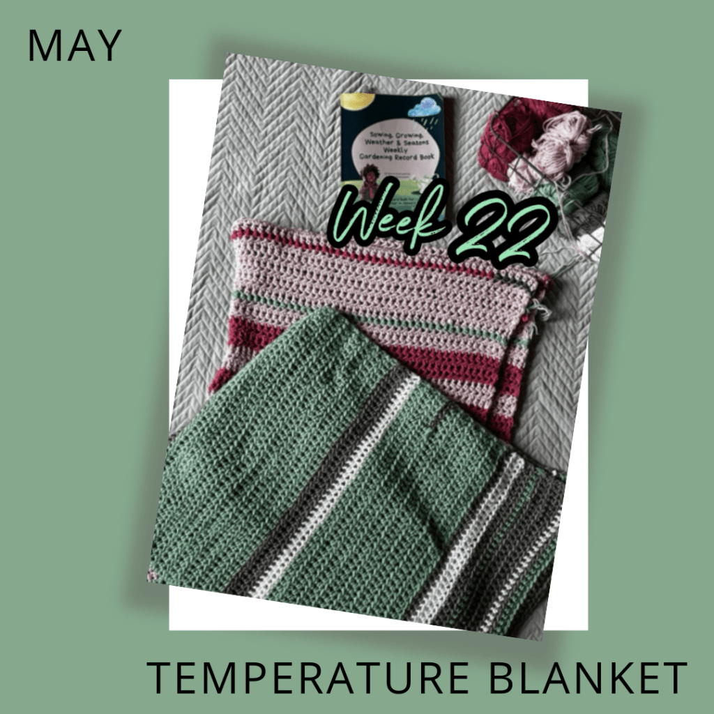 Temperature Blanket (6 Months In 2024)