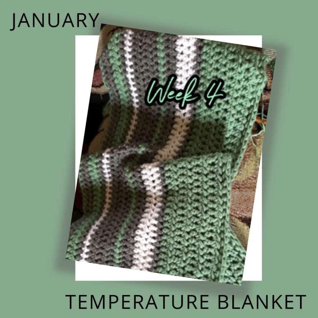 Temperature Blanket (6 Months In 2024)