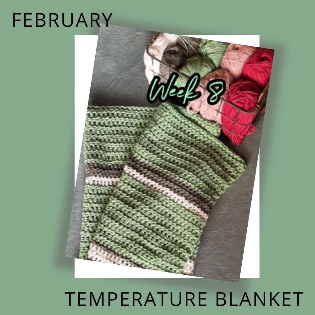 Temperature Blanket (6 Months In 2024)