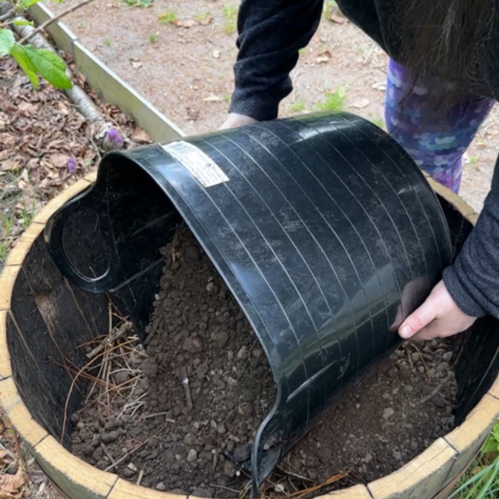 DIY: Using Old Wine Barrels As Planters