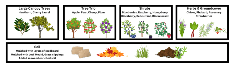 Understanding Plant Guilds in Permaculture Food Forest Gardening