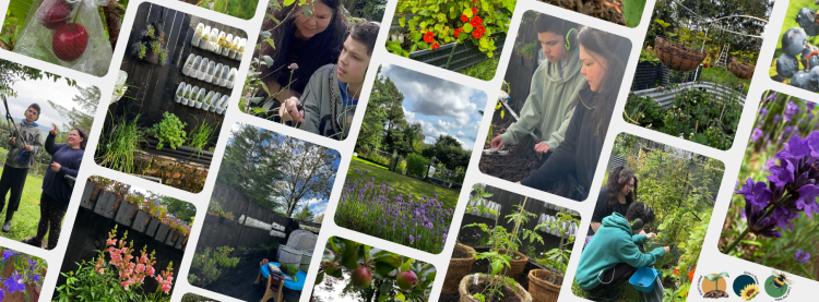 building a food forest scotland Front banner