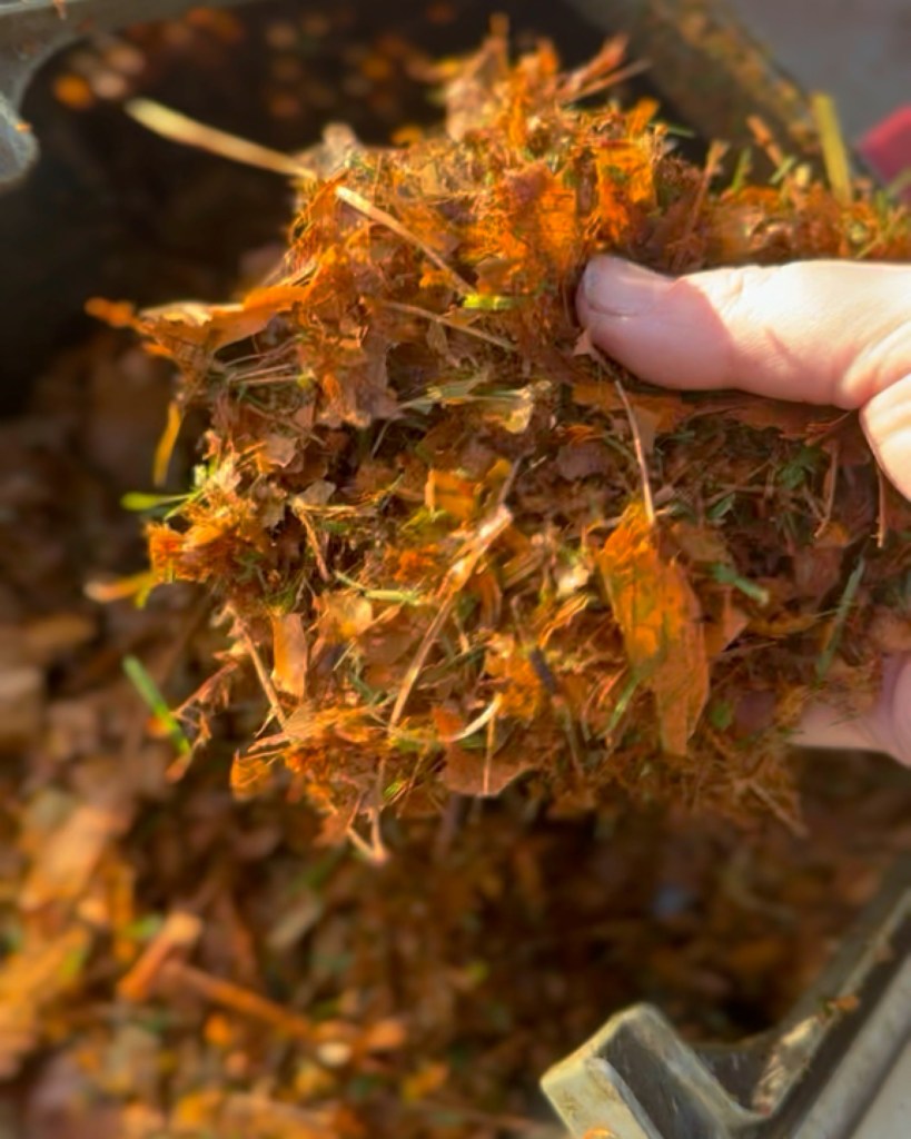 Practical & Creative Ways To Use Fallen Leaves Around Your Garden