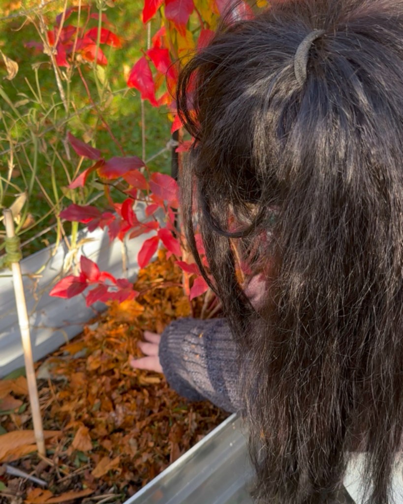 Practical & Creative Ways To Use Fallen Leaves Around Your Garden