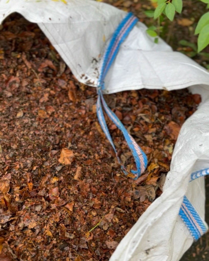 Practical & Creative Ways To Use Fallen Leaves Around Your Garden